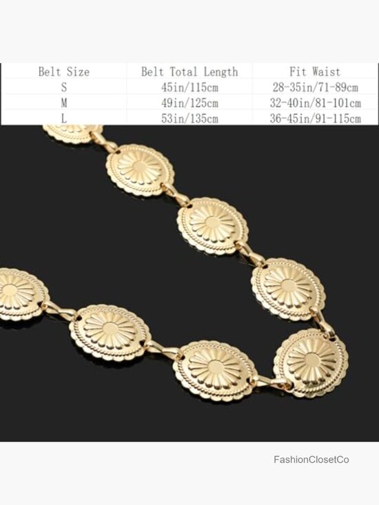 Vintage Metal Concho Waist Chain Belt, Adjustable Cowgirl Style main image 6